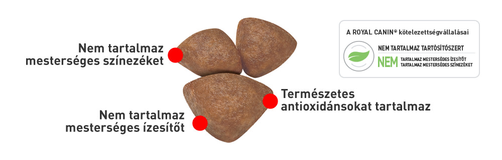 Royal Canin Puppy Kibbles