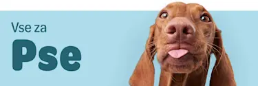 Vse za Pse