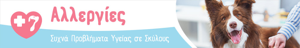Προβλήματα Υγείας των Σκύλων