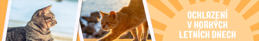 Léto 2023