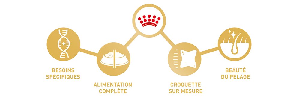 UNE RACE UNIQUE. DES BESOINS UNIQUES