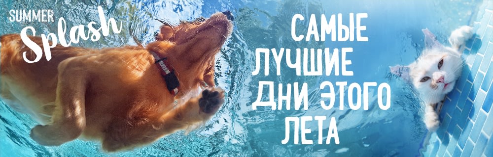 Summer Splash - самые лучшие дни этого лета