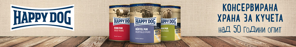 Happy Dog