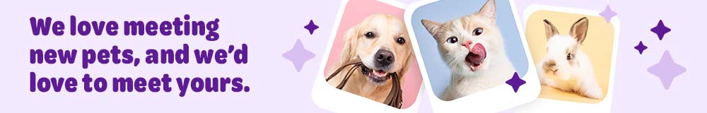 Pet Profile