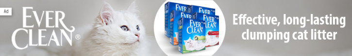 Ever Clean Cat Litter