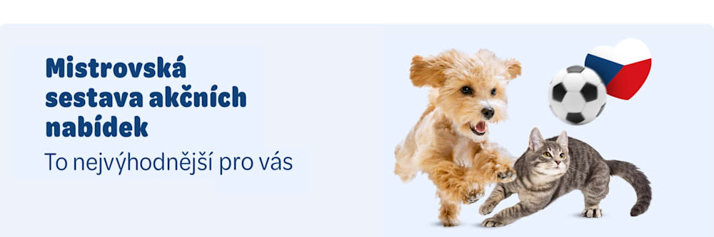 Mistrovská sestava akčních nabídek. To nejvýhodnější pro vás.