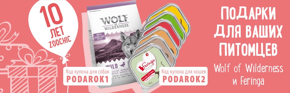 Подарки для Ваших кошек и собак