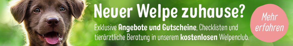 Welpen Club