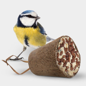 Snackek vadon elő madaraknak