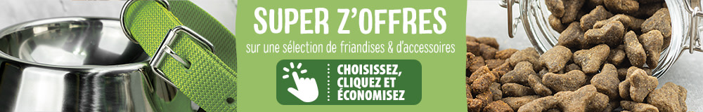 Super z'offres sur une sélection de friandises et d'accessoires