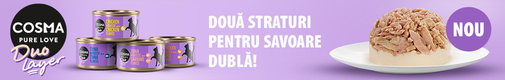 Nou: Cosma DUO Layer 6 x 70 g