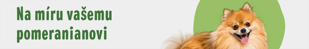 Pomeranian