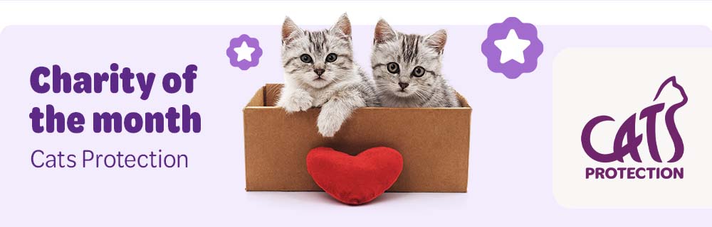 Charity of the month: Cats Protection