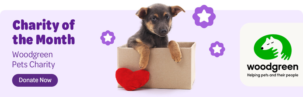 Charity of the month: Woodgreen Pets Charity