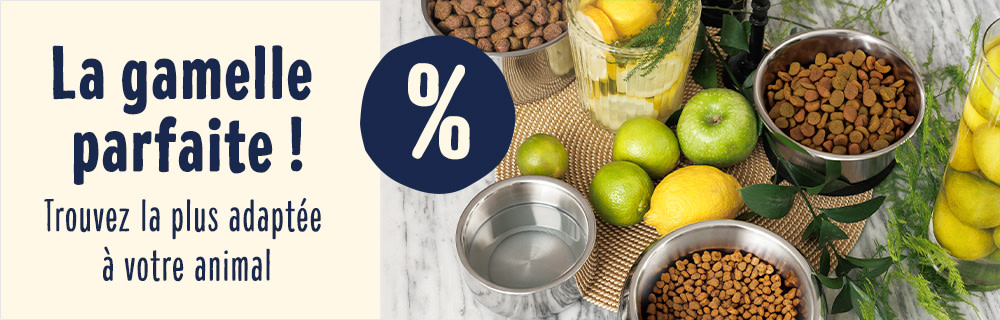 Trouvez la gamelle idéale pour votre animal !