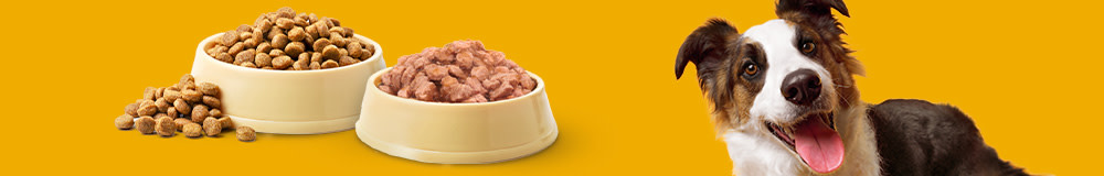 1 € reversé à une refuge pour chaque produit acheté