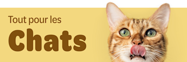 Tout pour les Chats
