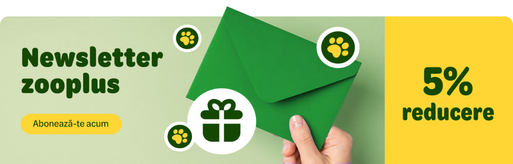 5% discount pentru abonarea la newsletter