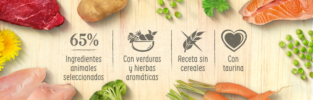 Feringa de un vistazo