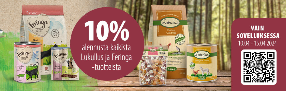 10% alennusta