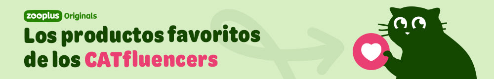 Los productos favoritos de los CATfluencers