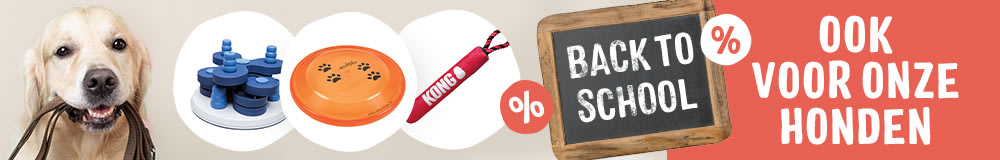 Back to school!