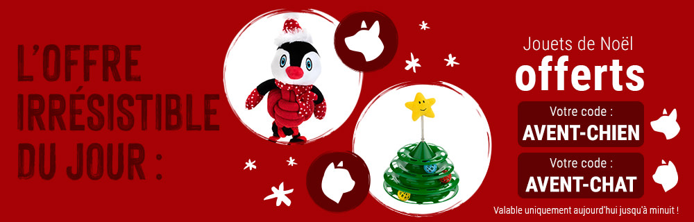 Jouets de Noël offerts pour votre chien ou votre chat