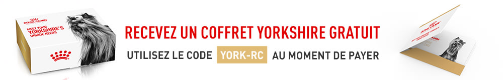 Votre code : YORK-RC