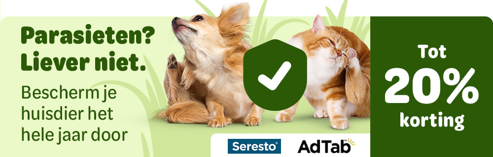 NL Local banner