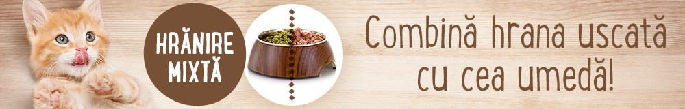 Hrană mixtă – pentru o nutriție sănătoasă și naturală!