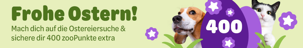 Frohe Ostern! Mach dich auf die Ostereiersuche & sichere dir 400 zooPunkte extra. 400
