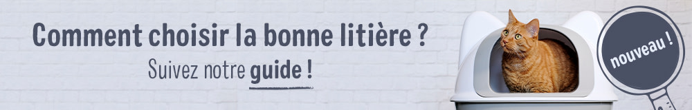 Comment choisir la bonne litière ?
