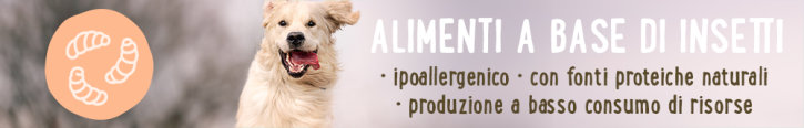 Alimenti con insetti