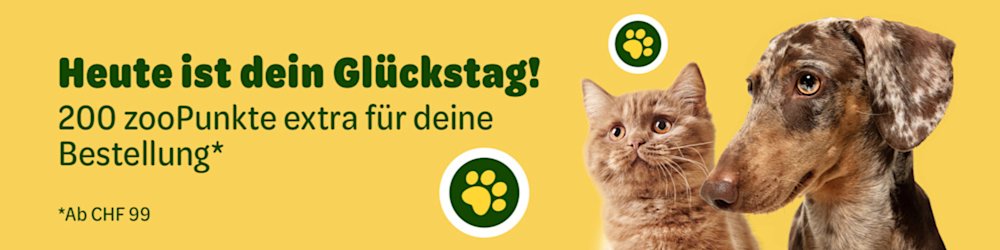 Heute ist dein Glückstag! 200 zooPunkte extra für deine Bestellung* *Ab CHF 99