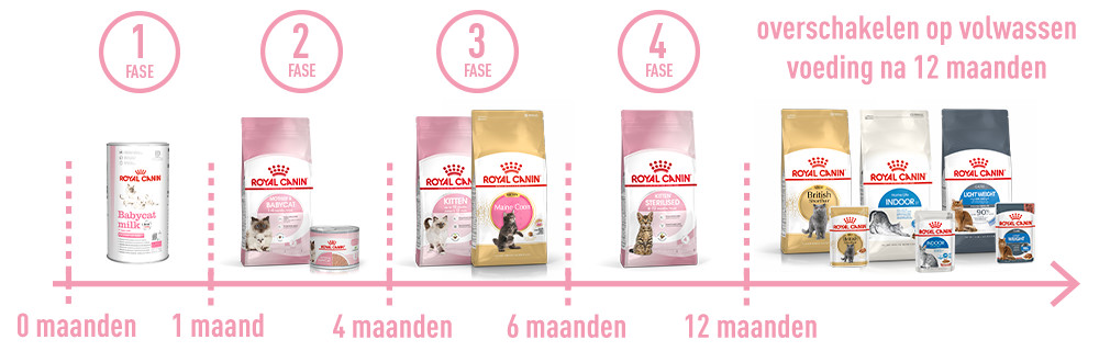 Banner royal canin products