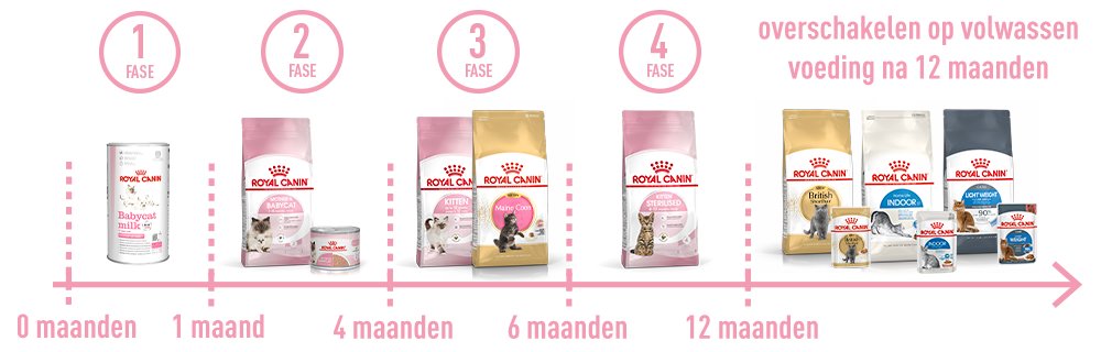 Banner royal canin products