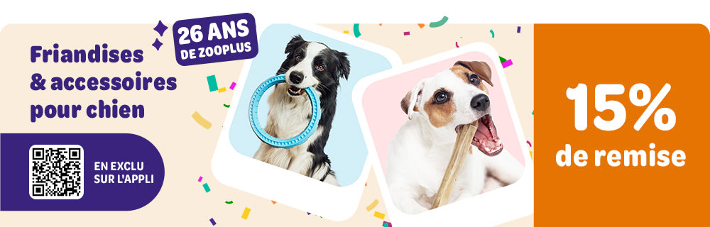 Exclu sur l'appli: 15% de remise sur friandises & accessoires pour chienires pour chiens. 15 % de remise