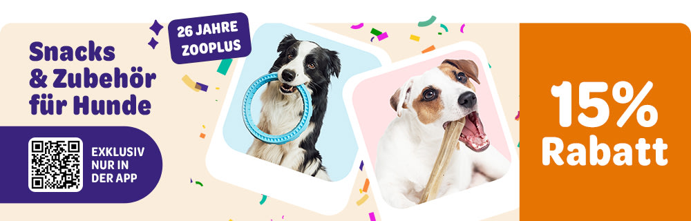 Exklusiv nur in der App: 15 % Rabatt auf Snacks & Zubehör für Hunde