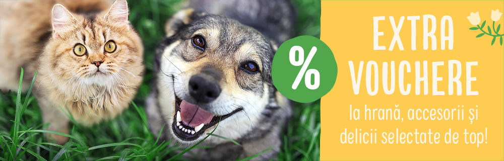 EXTRA reducere la Produse de TOP!