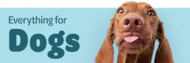 everything for dogs