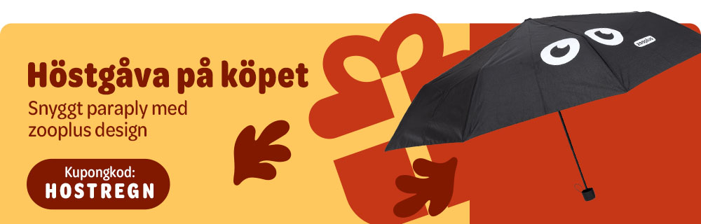 Paraply på köpet!