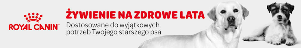 Royal Canin Senior - karma dla psów