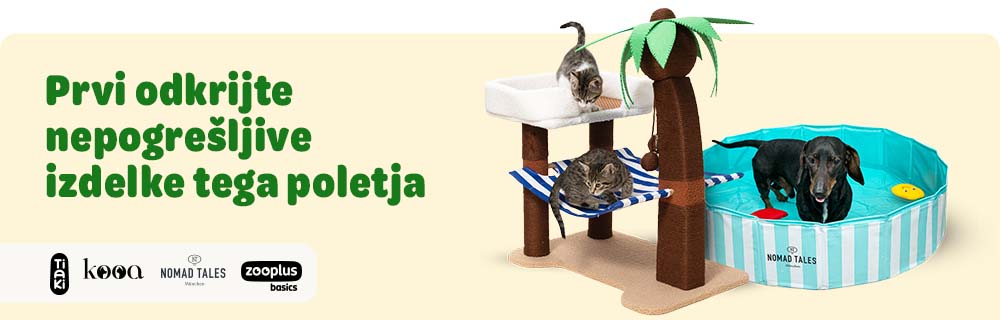 Prvi odkrijte nepogrešljive izdelke tega poletja