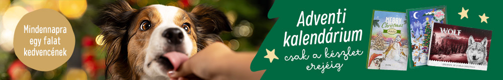 Adventi naptárak kutyáknak