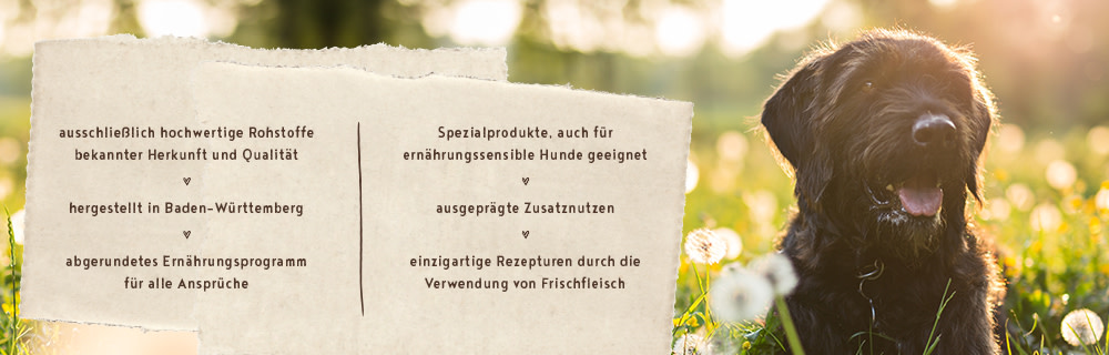 die bosch Garantie
