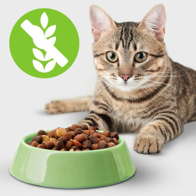 Grain Free Cat Food