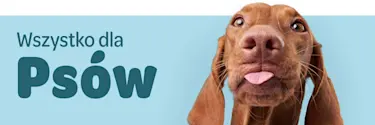 wszystko dla psów