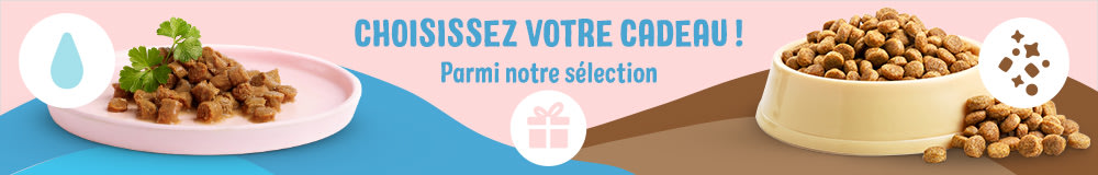 Choose your freebie
