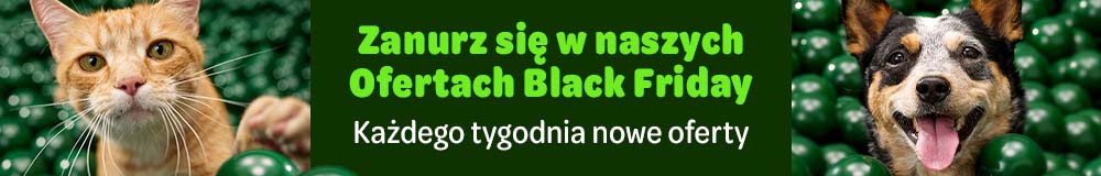 Zanurz się w naszych Ofertach Black Friday