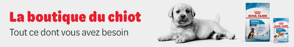 Nourriture et accessoires pour chiot